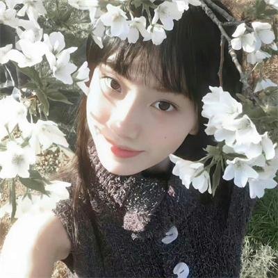 综艺动漫